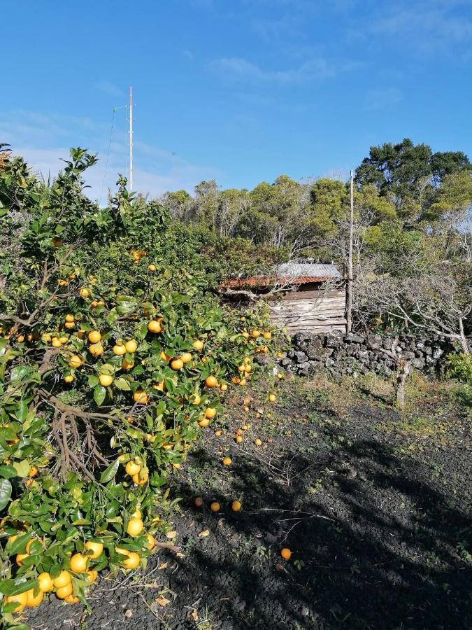 Rosa Do Canto Monte  Εξωτερικό φωτογραφία