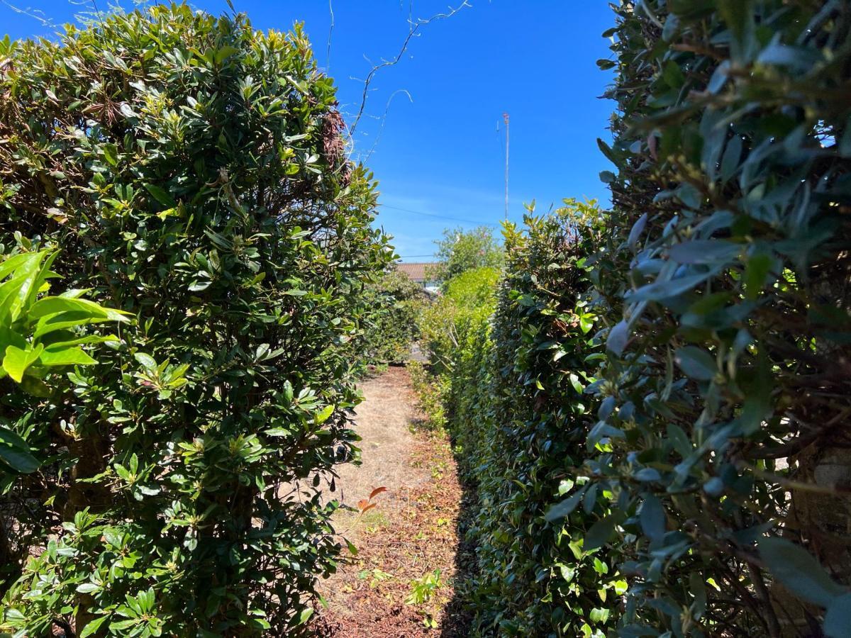 Rosa Do Canto Monte  Εξωτερικό φωτογραφία