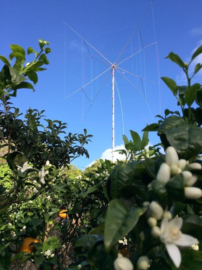 Rosa Do Canto Monte  Εξωτερικό φωτογραφία